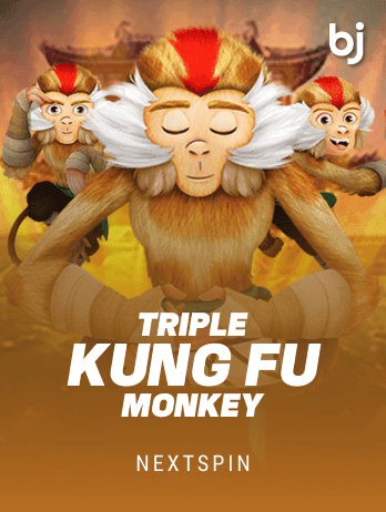 ট্রিপল কুং ফু মাঙ্কি game icon